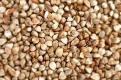 visite-de-la-ferme-de-la-manne-10