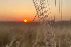 visite-de-la-ferme-de-la-manne-8