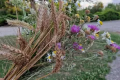 visite-de-la-ferme-de-la-manne-9